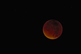 Image. Blood Moon