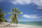 Image. Caribbean Beach