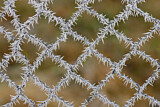 Image. Eiskristalle an Maschendrahtzaun