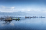Image. Eistaucher
