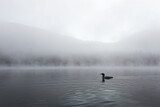 Image. Great Northern Loon