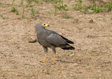 Image. Höhlenweihe