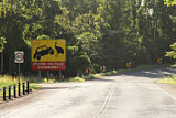 Image. Helmkasuar
