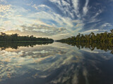 Image. Lagoon in Tortuguero National Park