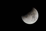 Image. Lunar Eclipse