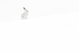 Image. Schneehase