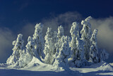 Image. Winterlandschaft