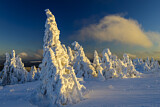 Image. Winterlandschaft