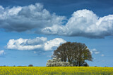 Image. Wolkenformation über blühendem Rapsfeld
