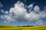 Image. Wolkenformation über blühendem Rapsfeld