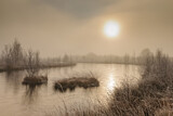 Image. bog in misty morning light