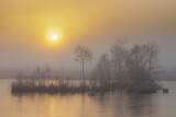 Image. bog in misty morning light