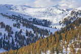 Image. winterliches Bergpanorama
