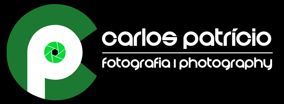 www.carlosfpatricio.com